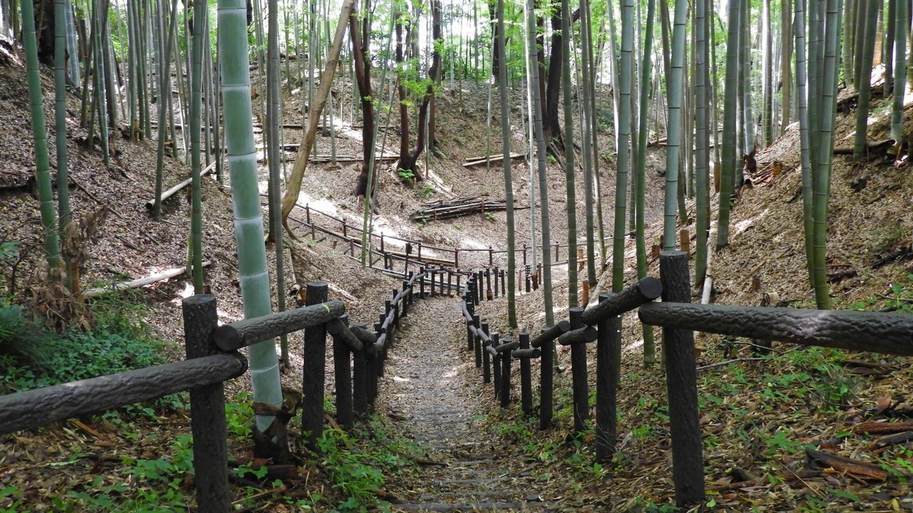 小机城