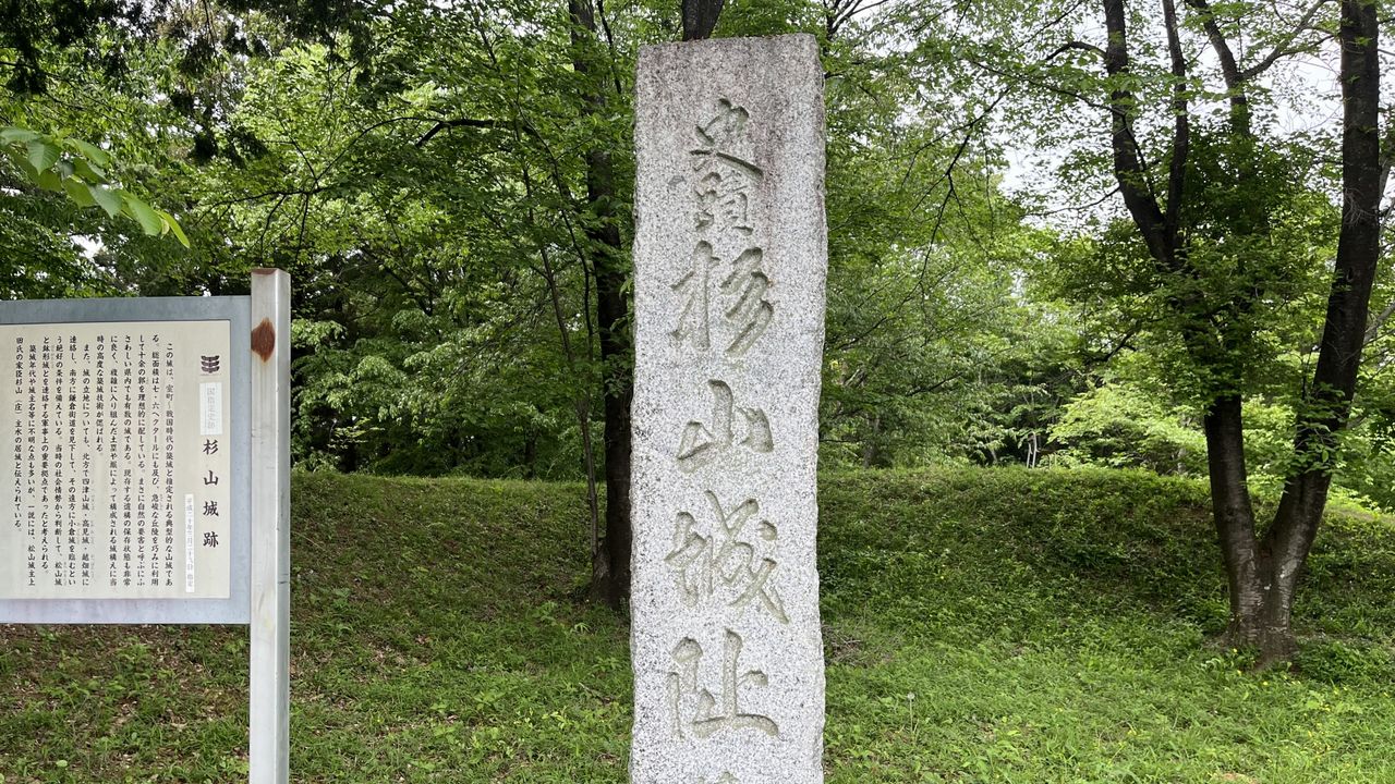 杉山城
