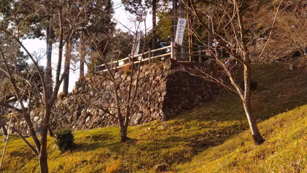 美濃金山城