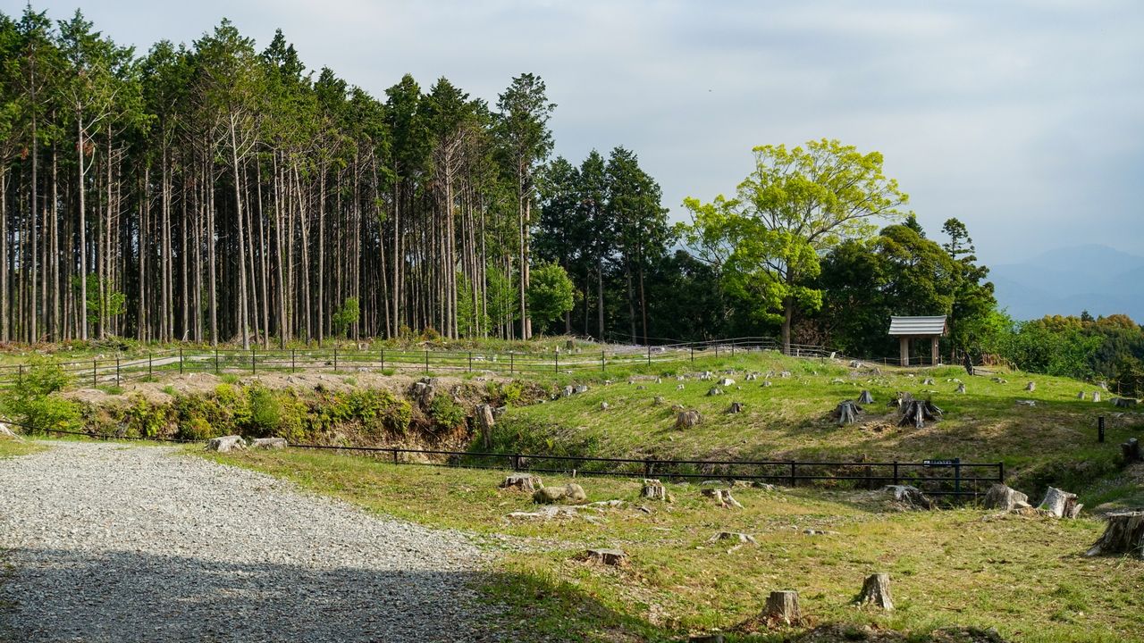 諏訪原城