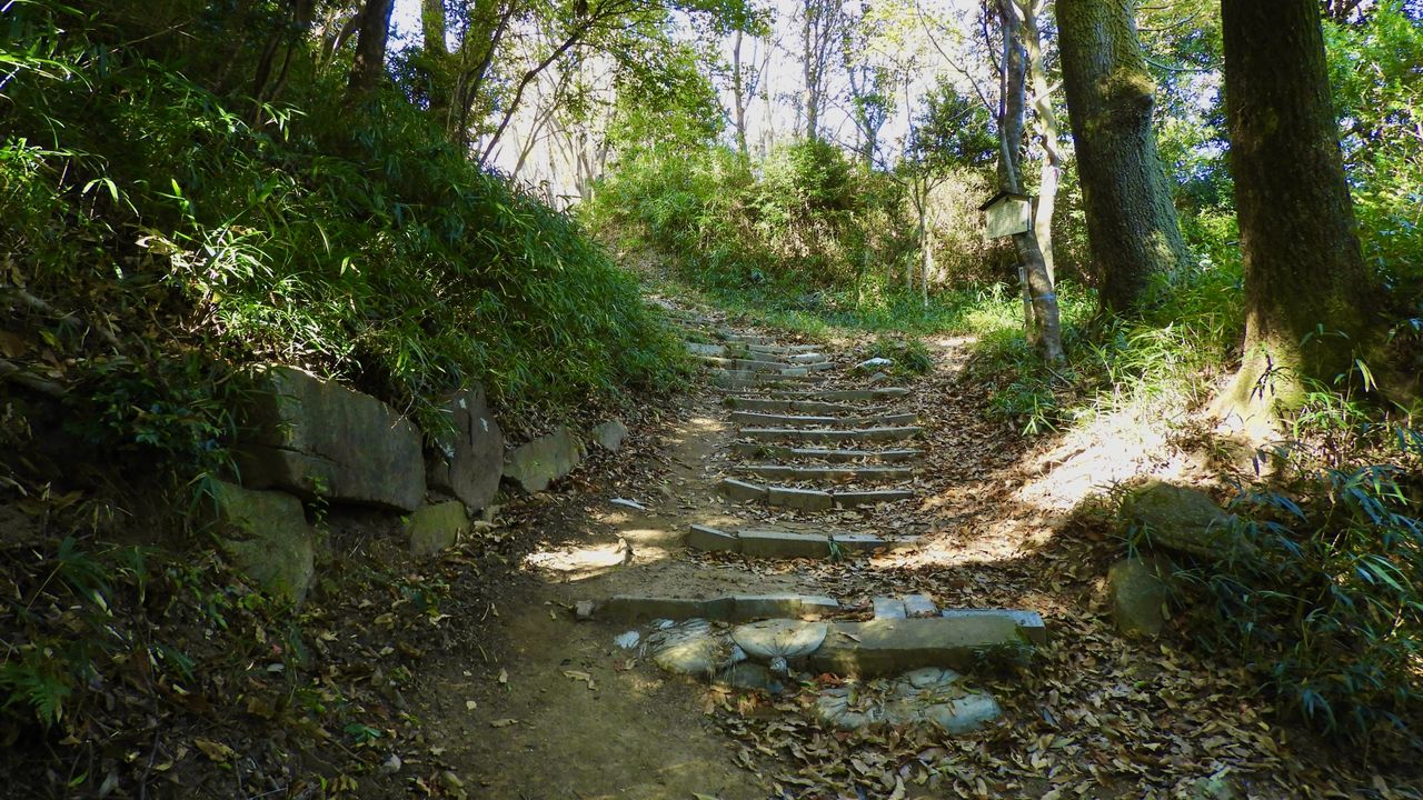 飯盛城