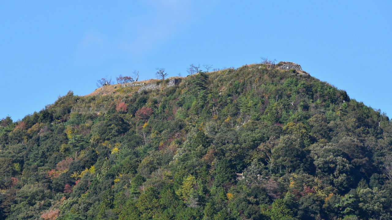 黒井城