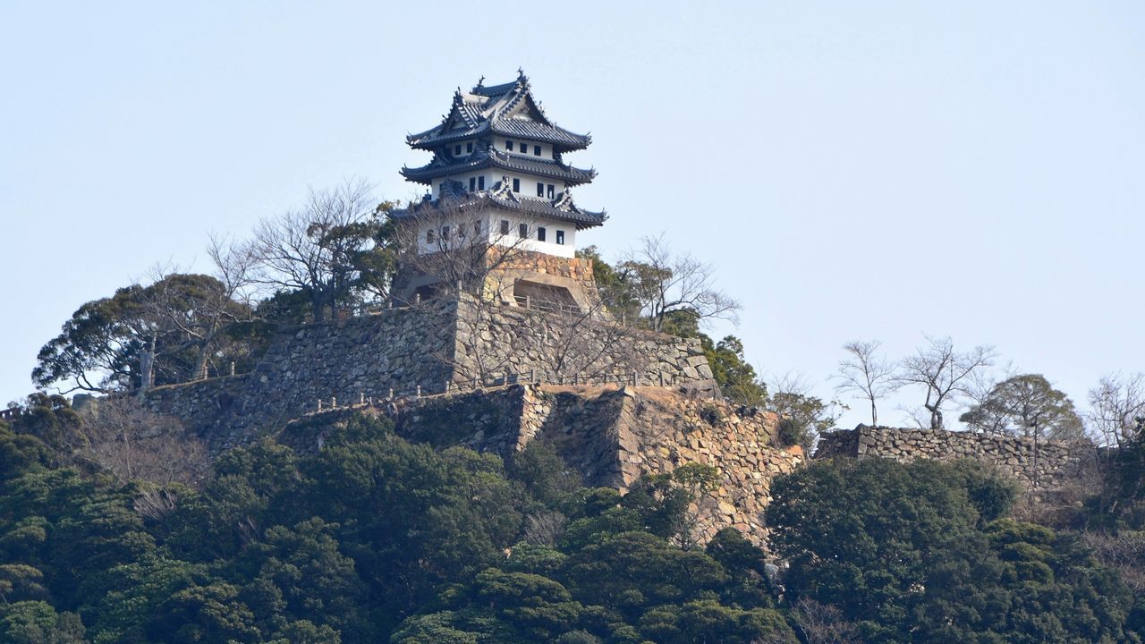 洲本城